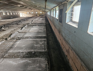 Bourací práce na hale chovu prasnic